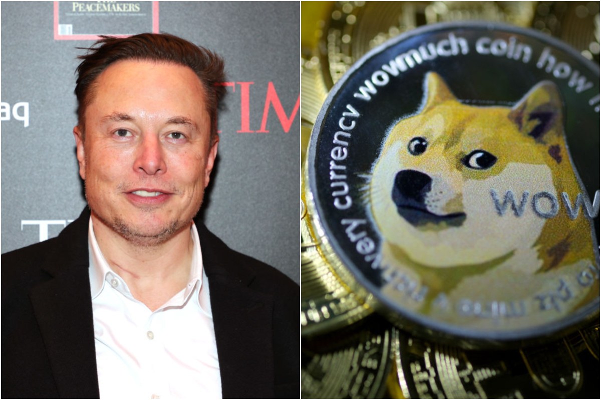 Elon musk dogecoin